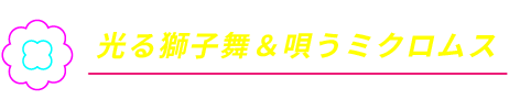 光る獅子舞＆唄うミクロムス